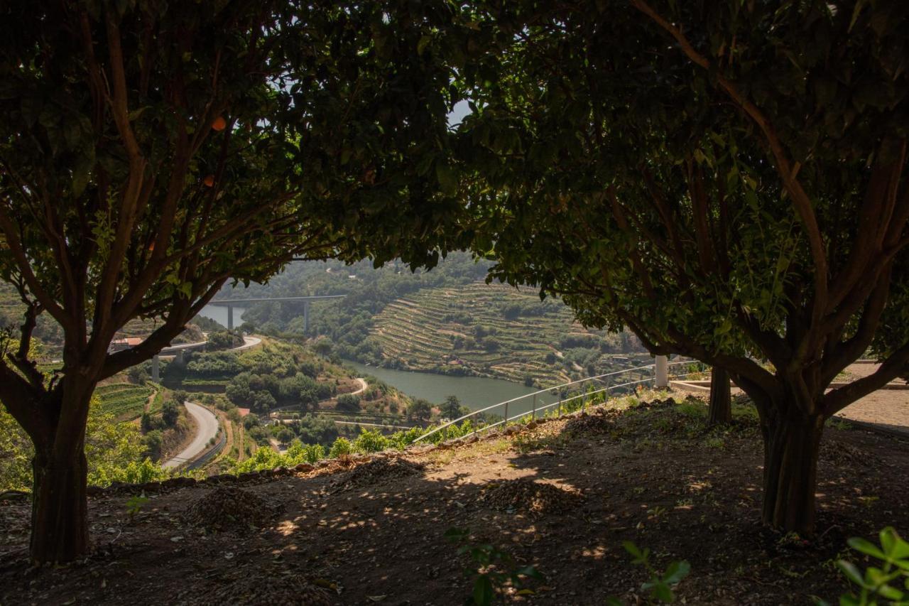 Quinta Da Granja Διαμέρισμα Baião Εξωτερικό φωτογραφία