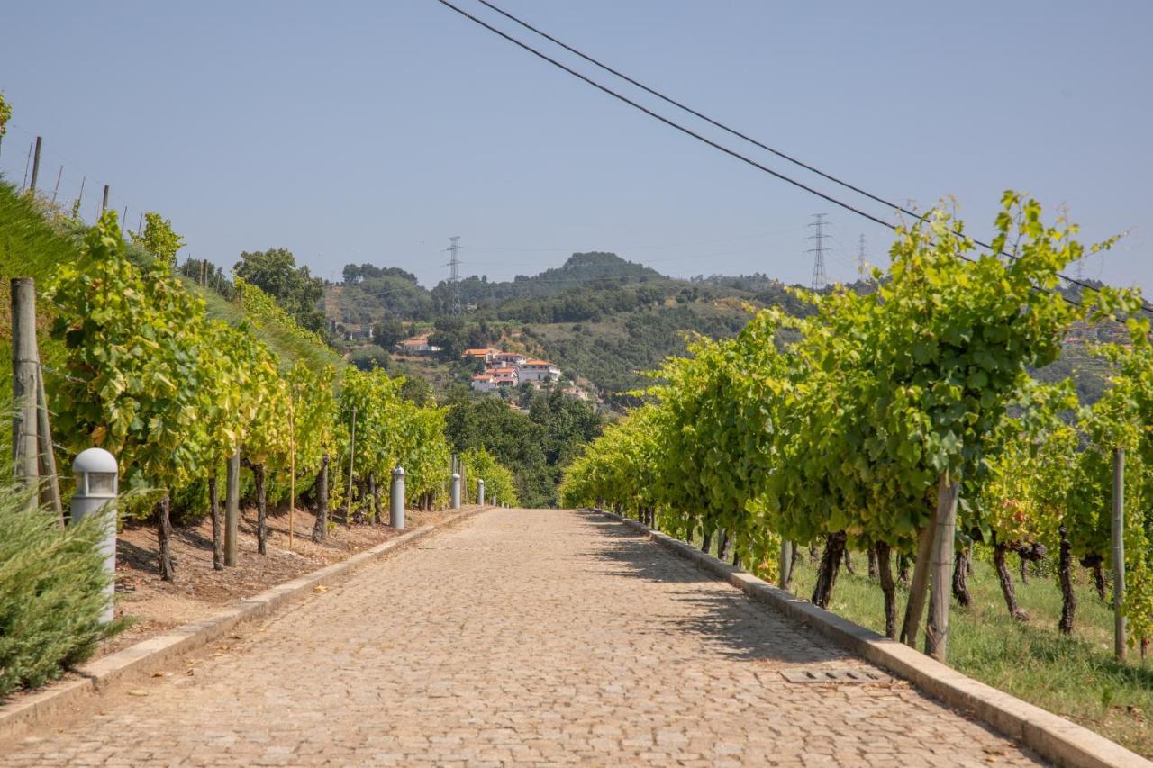 Quinta Da Granja Διαμέρισμα Baião Εξωτερικό φωτογραφία